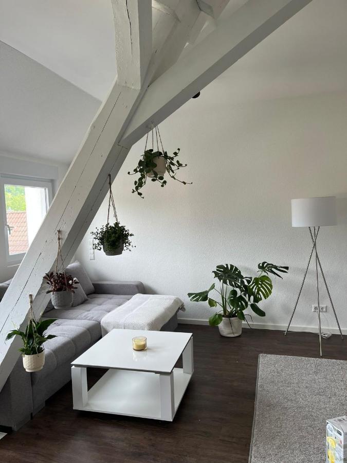 Stauffenberg Apartments Albstadt Eksteriør billede